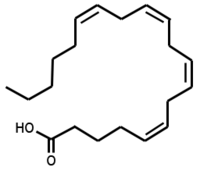 Structure de l'acide arachidonique