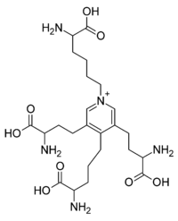 Molécule de Desmosine